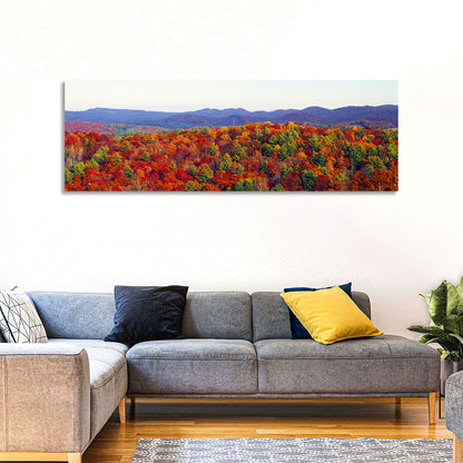 Autumn in the Appalachian Forest Wall Art
