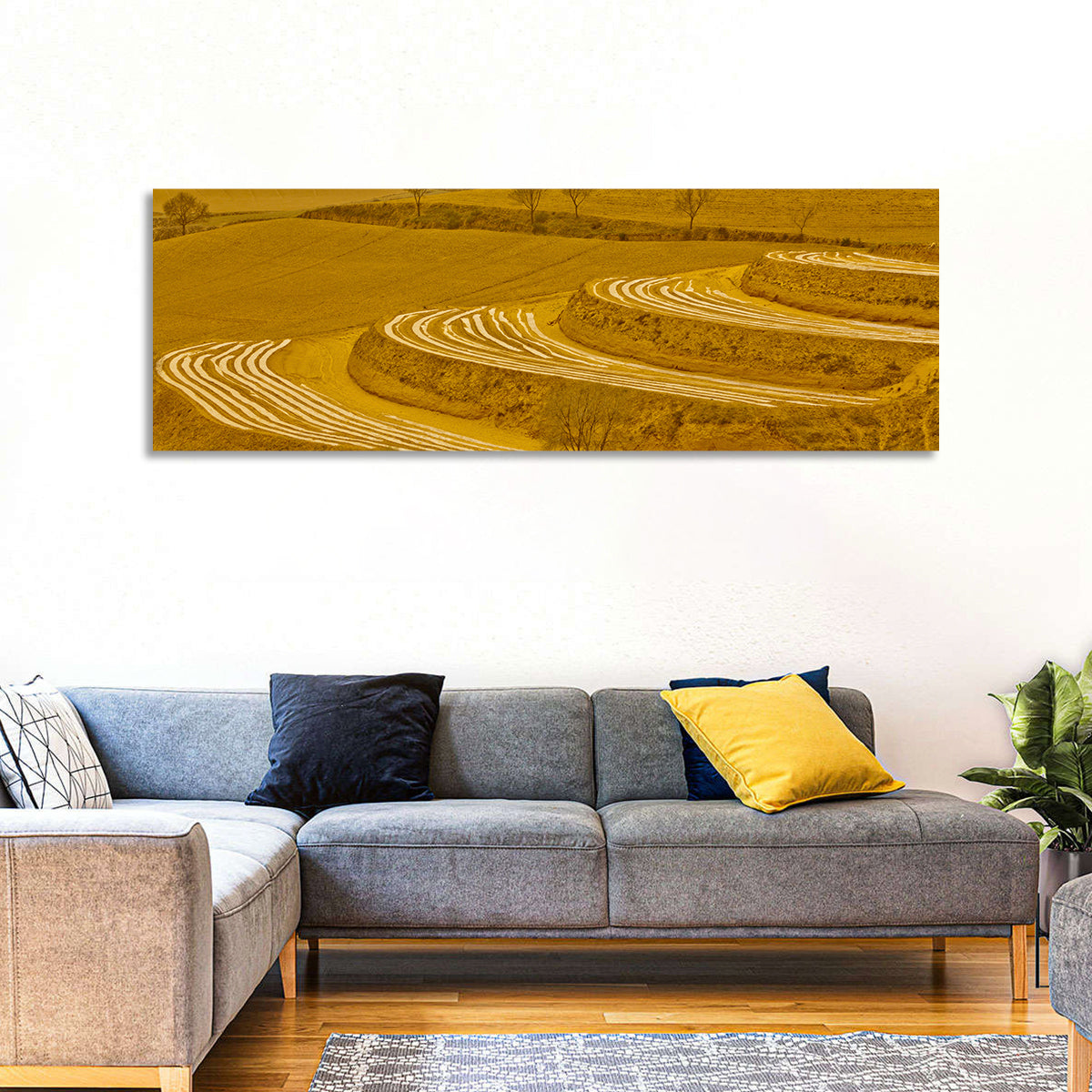 Loess Plateau Terraced Farmland Wall Art in a room, panoramic