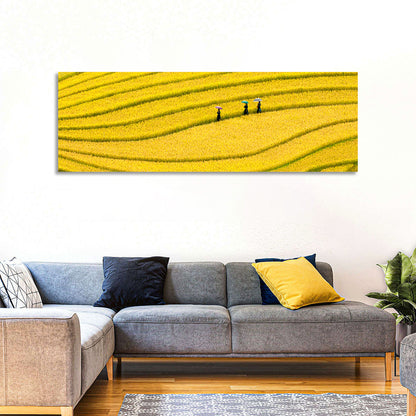 Golden Rice Terraces with Umbrellas Wall Art