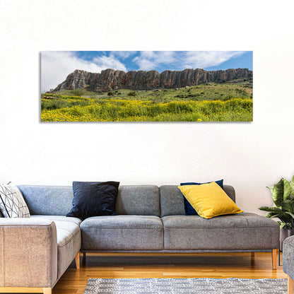 Mount Arbel Wildflower Meadow Wall Art