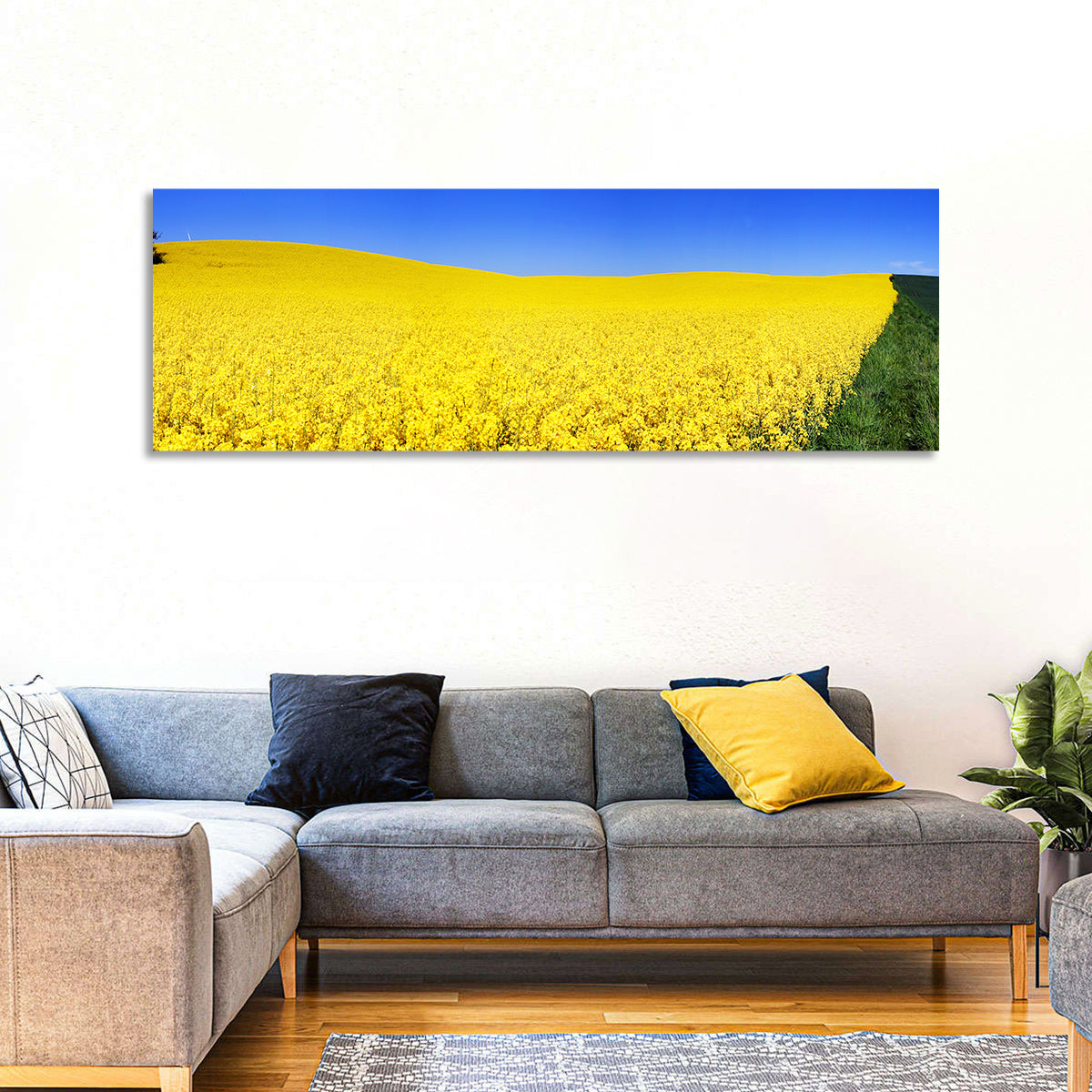 Sunlit Rapeseed Field Wall Art