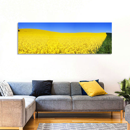 Sunlit Rapeseed Field Wall Art