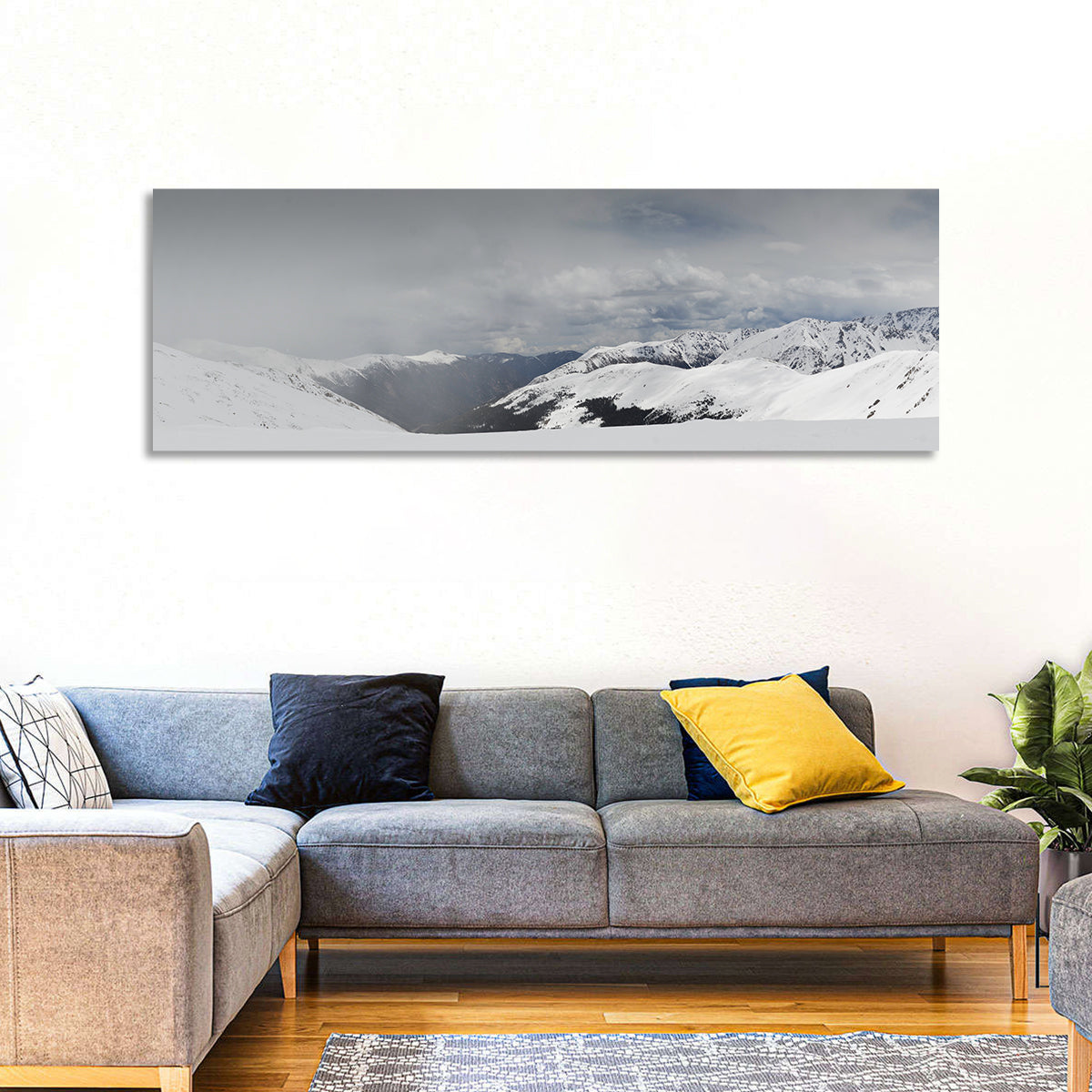 Snowy Colorado Mountains Wall Art