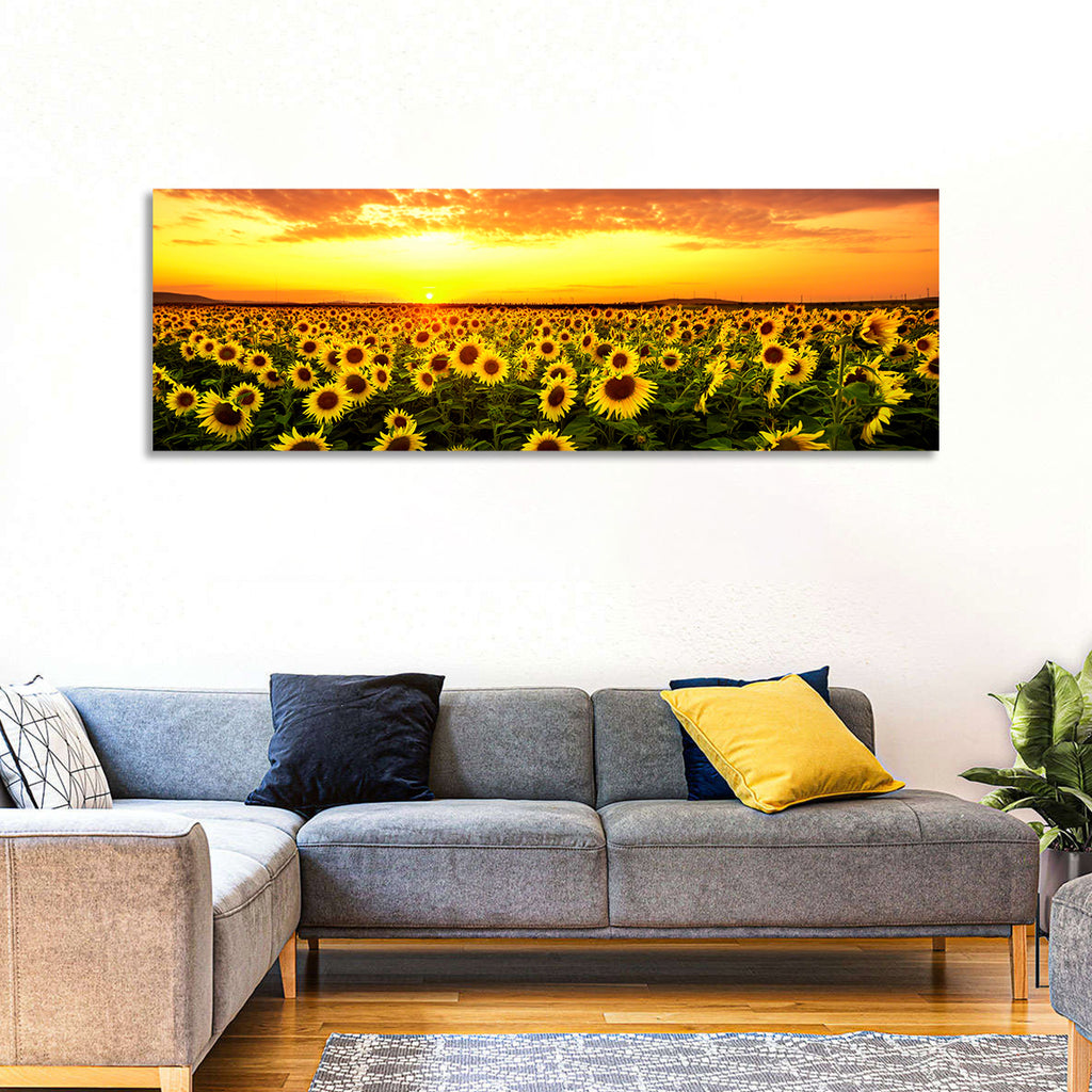 Golden Hour Sunflower Field Wall Art