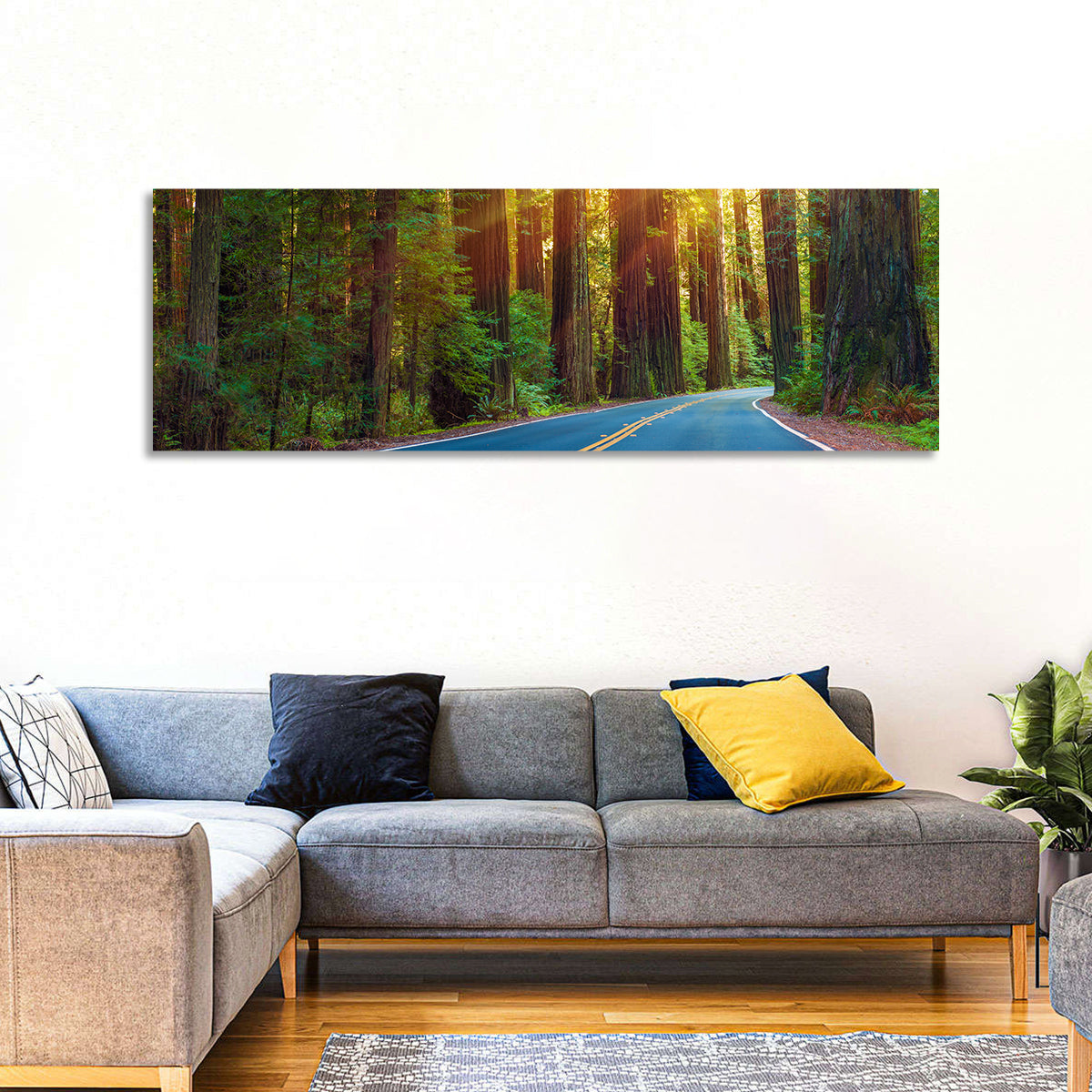 Sunlit Redwood Highway Wall Art in a room, panoramic