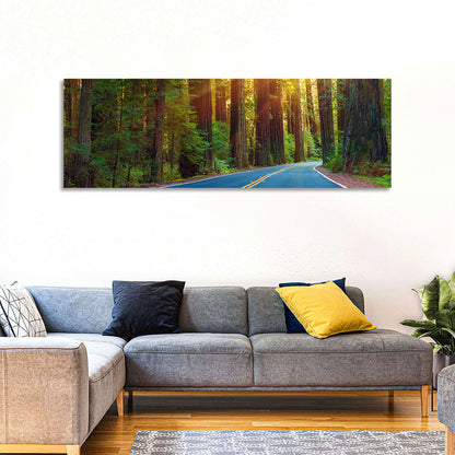 Sunlit Redwood Highway Wall Art