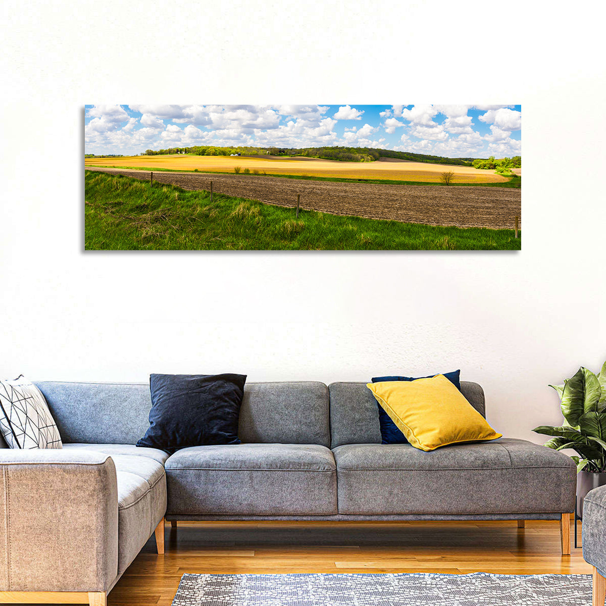 Iowa Farmland Wall Art