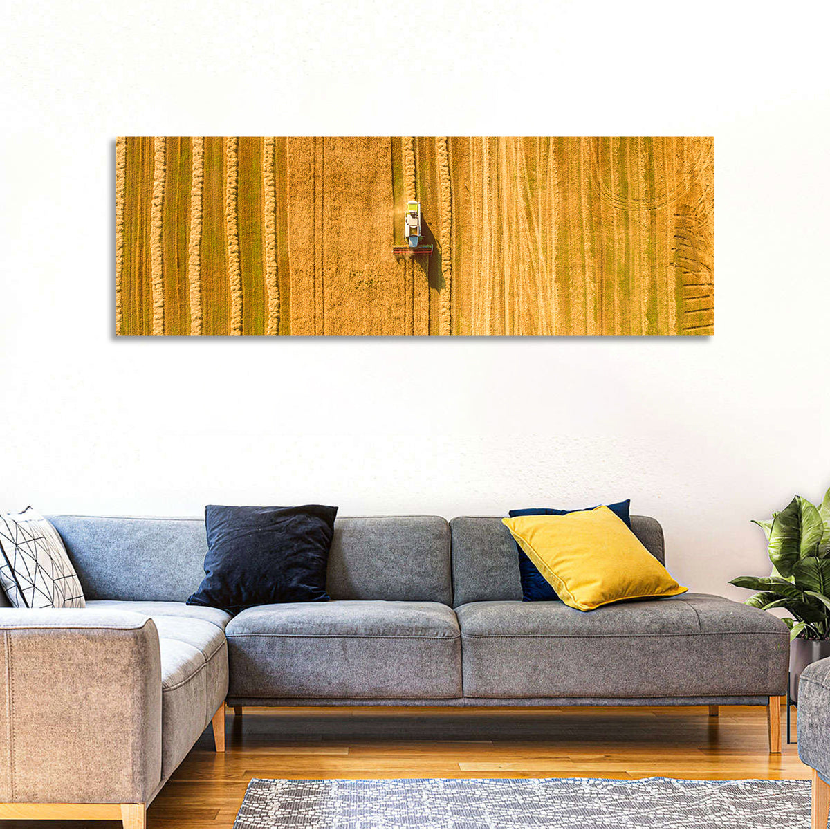 Aerial Wheat Harvest Wall Art
