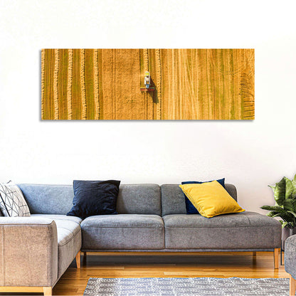 Aerial Wheat Harvest Wall Art