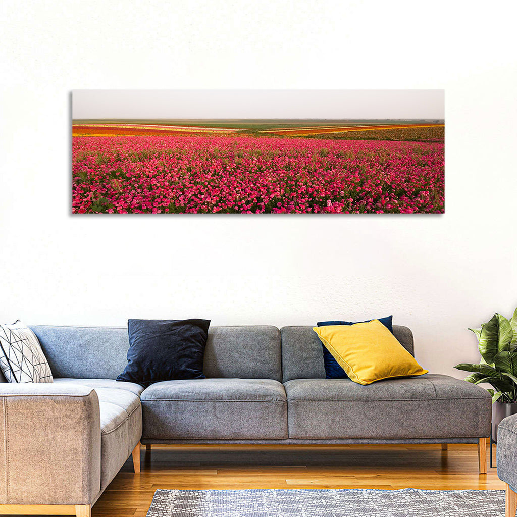 Pink Ranunculus Flower Field Wall Art