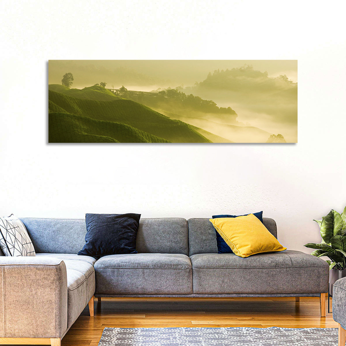 Tea Plantation Morning Mist Wall Art