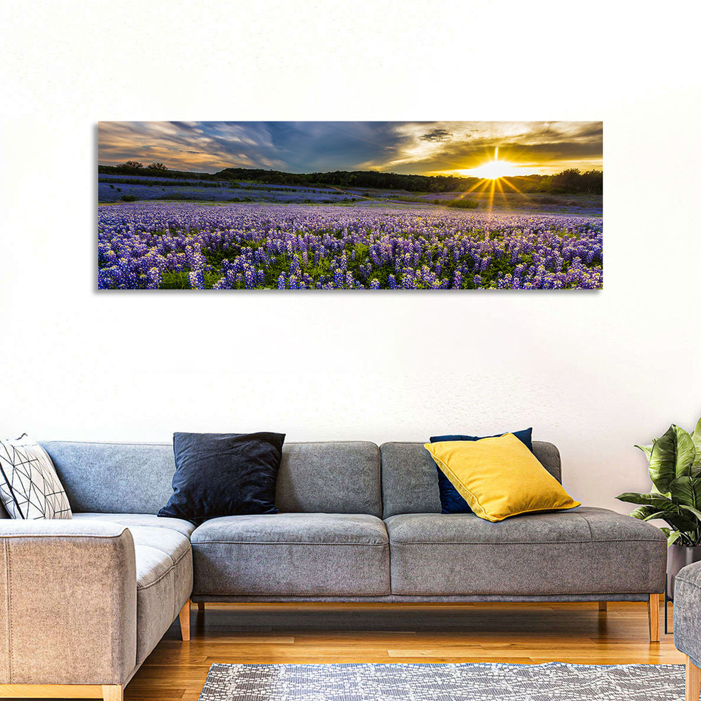Texas Bluebonnet Field at Sunset Wall Art