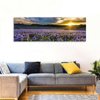 Texas Bluebonnet Field at Sunset Wall Art