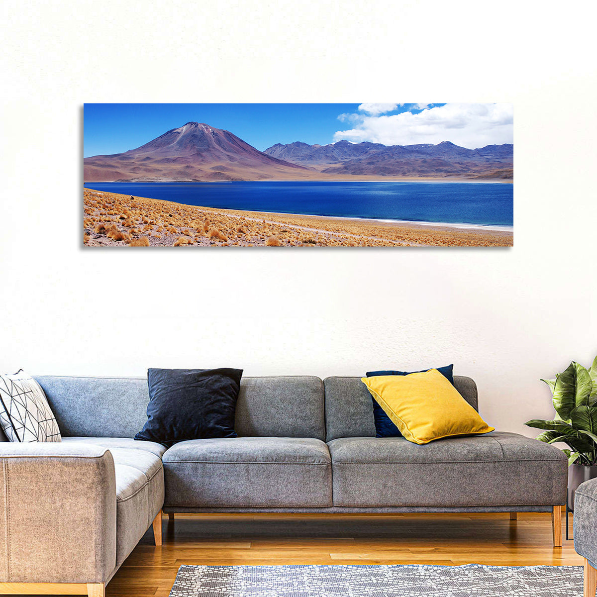 Miscanti Lagoon and Miñiques Volcano Wall Art