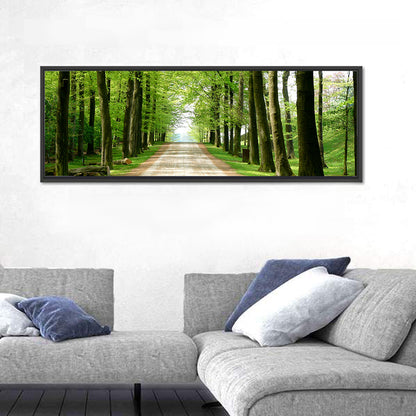 Sunlit Tree-lined Path Wall Art