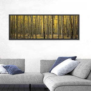 Colorado Aspen Forest Wall Art