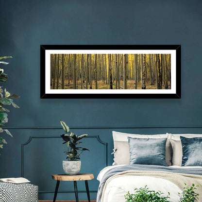 Golden Aspen Grove, Colorado Wall Art