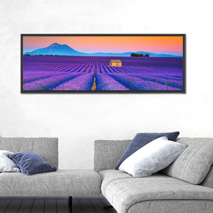 Valensole Lavender Fields at Sunset Wall Art