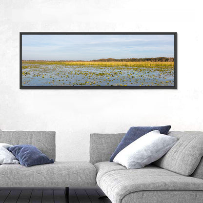 Lake Toho Lily Pads Wall Art