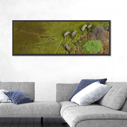 Aerial Herd of Elephants Wall Art