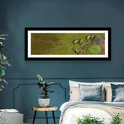 Aerial Herd of Elephants Wall Art