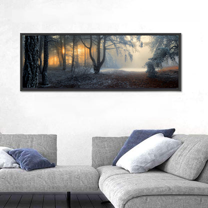 Frosted Forest Morning Light Wall Art