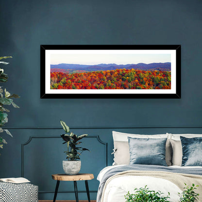 Autumn in the Appalachian Forest Wall Art