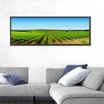 Sunlit Vineyard Rows Wall Art