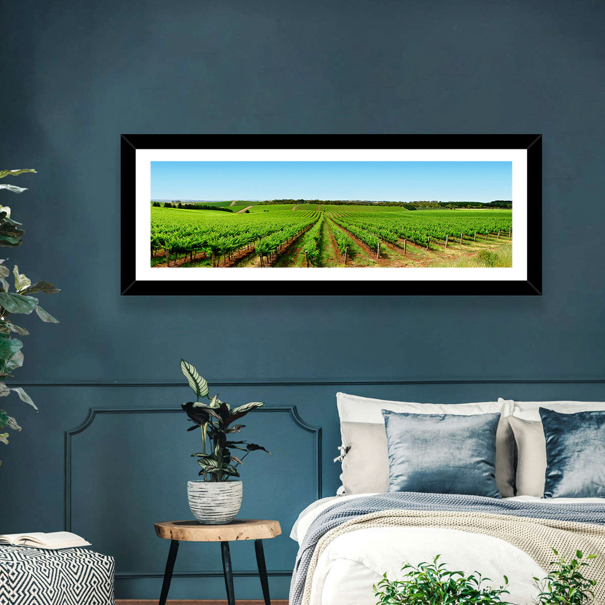 Sunlit Vineyard Rows Wall Art