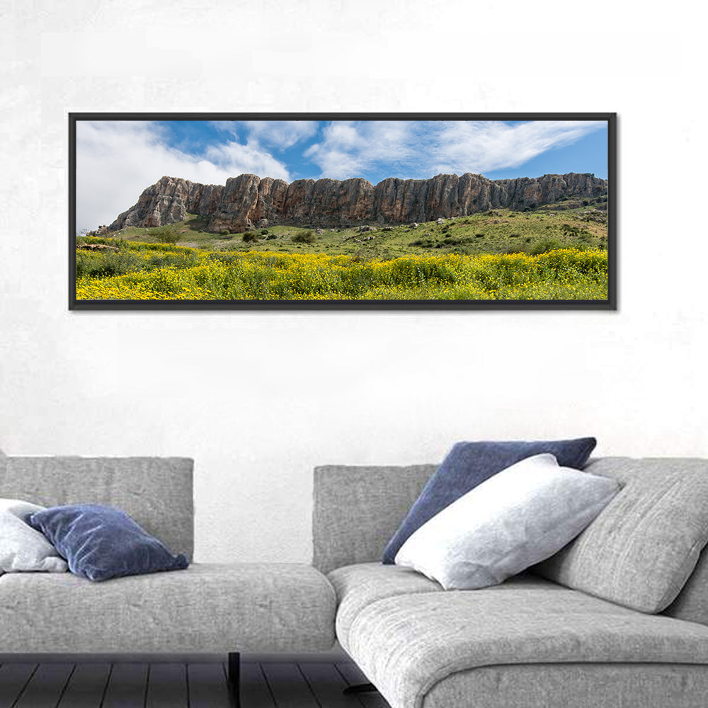 Mount Arbel Wildflower Meadow Wall Art
