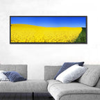 Sunlit Rapeseed Field Wall Art