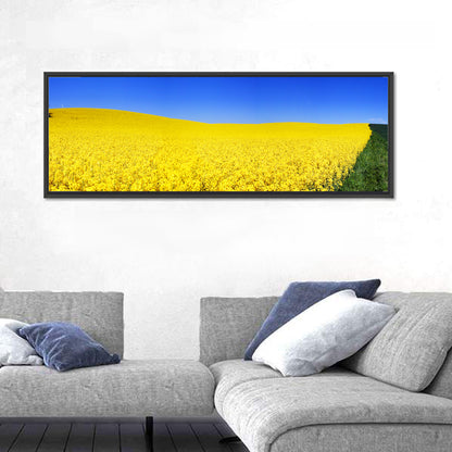 Sunlit Rapeseed Field Wall Art