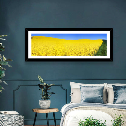 Sunlit Rapeseed Field Wall Art