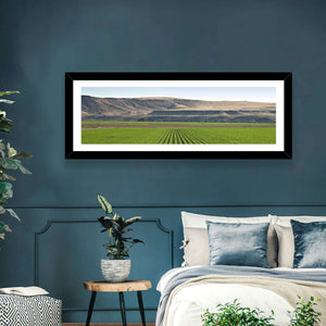 Idaho Corn Field Wall Art