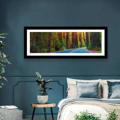 Sunlit Redwood Highway Wall Art
