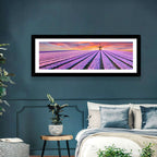 Hyacinth Field at Sunset Wall Art