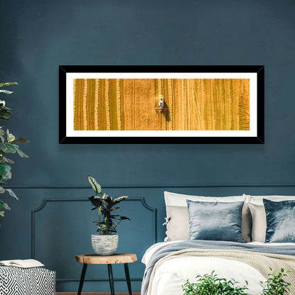 Aerial Wheat Harvest Wall Art