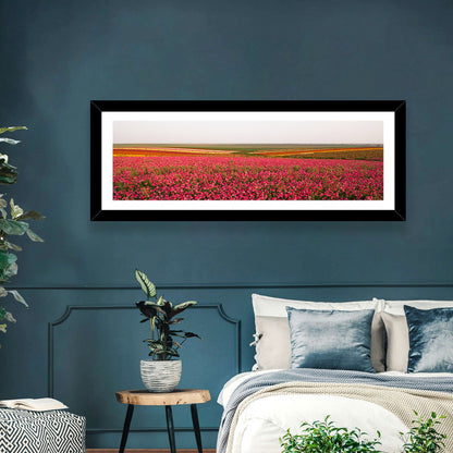 Pink Ranunculus Flower Field Wall Art