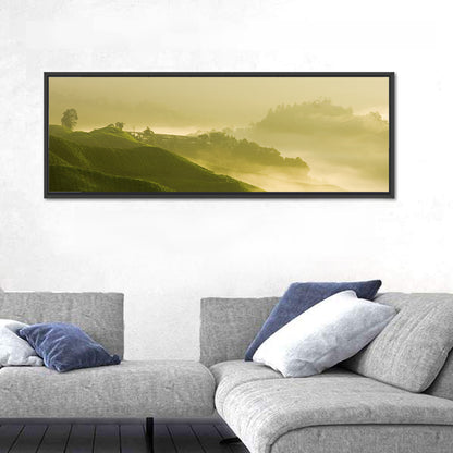 Tea Plantation Morning Mist Wall Art