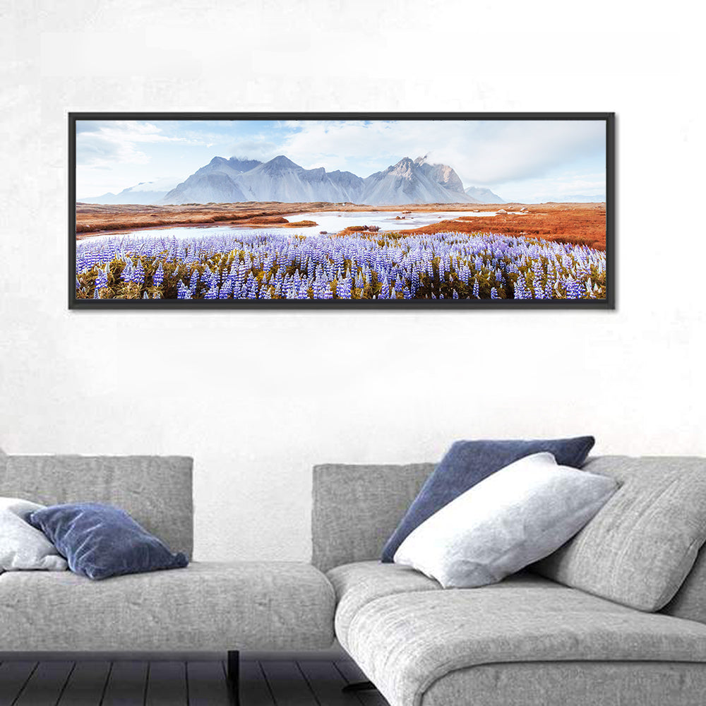 Lupine Fields at Vestrahorn Wall Art