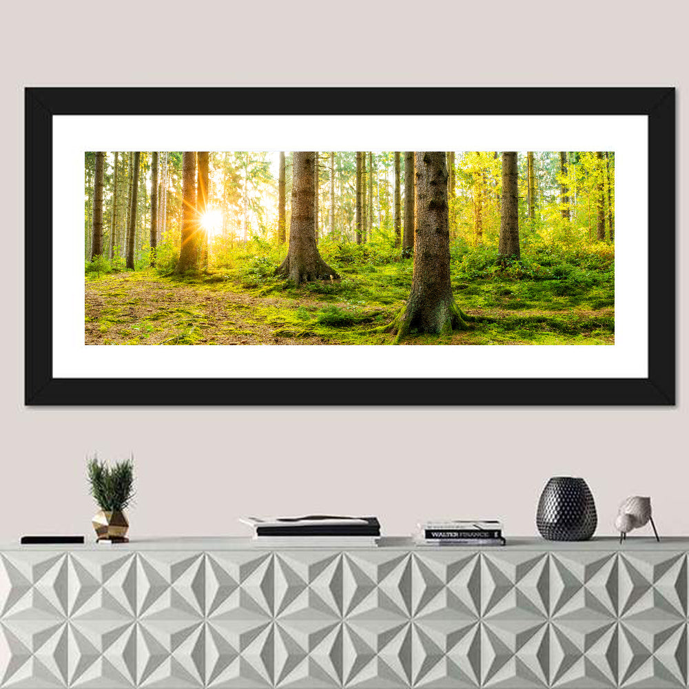 Sunburst Over Mossy Forest Wall Art
