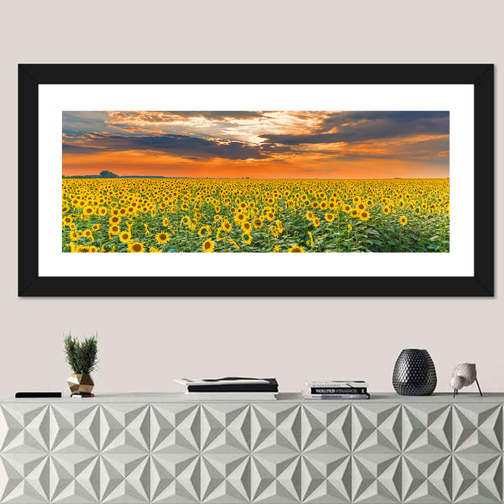 Golden Hour Sunflower Field Wall Art