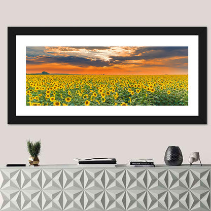 Golden Hour Sunflower Field Wall Art