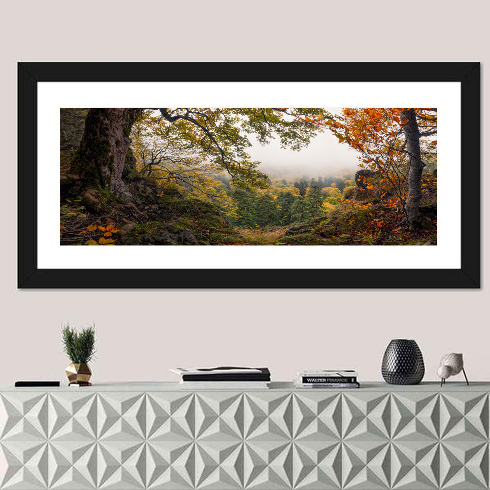 Enchanted Forest Valley Wall Art in a room, panoramic