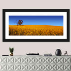 Canola Field with Lone Tree Wall Art