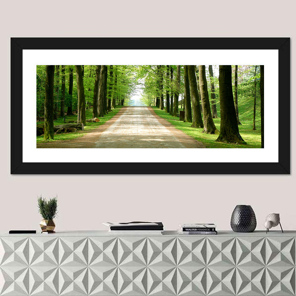 Sunlit Tree-lined Path Wall Art