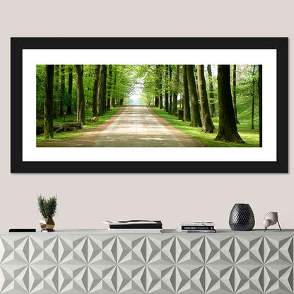Sunlit Tree-lined Path Wall Art