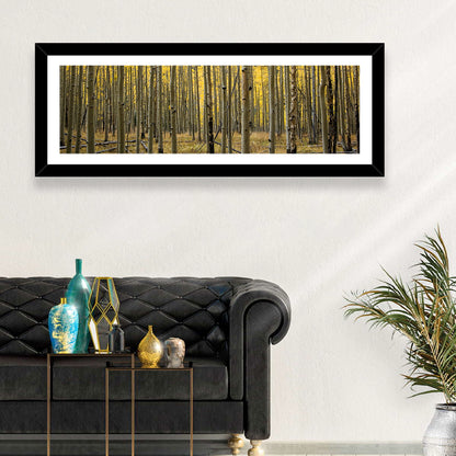 Golden Aspen Grove, Colorado Wall Art