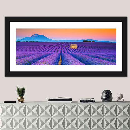 Valensole Lavender Fields at Sunset Wall Art