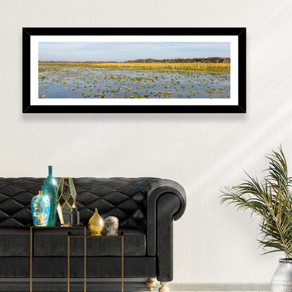 Lake Toho Lily Pads Wall Art